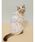 gelato pique�i�W�F���[�g�s�P�j�́u�yCAT&DOG�z�y�ڐG�⊴�z �X�g���C�v��Cooling�v���I�[�o�[�i�y�b�g�E�F�A�j�v�b�u���[