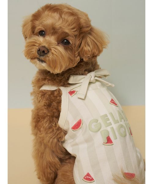 gelato pique（ジェラートピケ）の「【CAT&DOG】【接触冷感】 ストライプ柄Coolingプルオーバー（ペットウェア・レディース・ブルー/グリーン/ピンク/イエロー・S/M/L）」の6枚目の写真