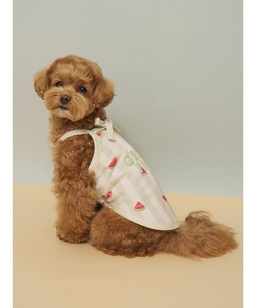 gelato pique（ジェラートピケ）の「【CAT&DOG】【接触冷感】 ストライプ柄Coolingプルオーバー（ペットウェア・レディース・ブルー/グリーン/ピンク/イエロー・S/M/L）」の8枚目の写真