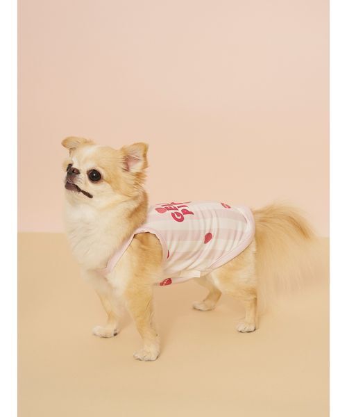 gelato pique（ジェラートピケ）の「【CAT&DOG】【接触冷感】 ストライプ柄Coolingプルオーバー（ペットウェア・レディース・ブルー/グリーン/ピンク/イエロー・S/M/L）」の10枚目の写真