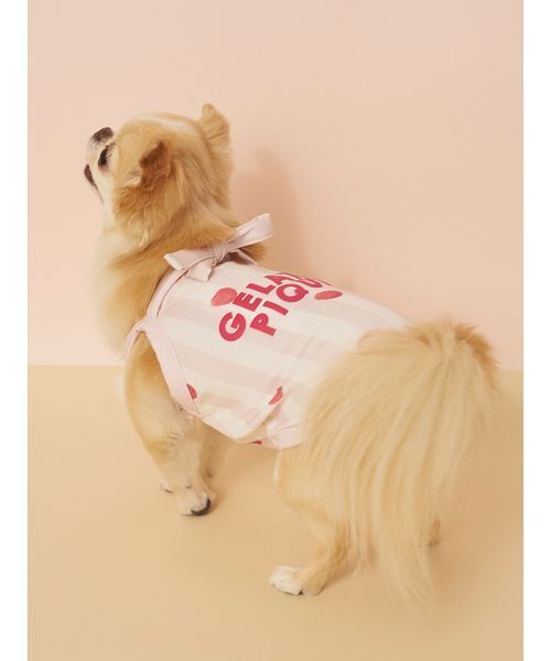 gelato pique（ジェラートピケ）の「【CAT&DOG】【接触冷感】 ストライプ柄Coolingプルオーバー（ペットウェア・レディース・ブルー/グリーン/ピンク/イエロー・S/M/L）」の11枚目の写真