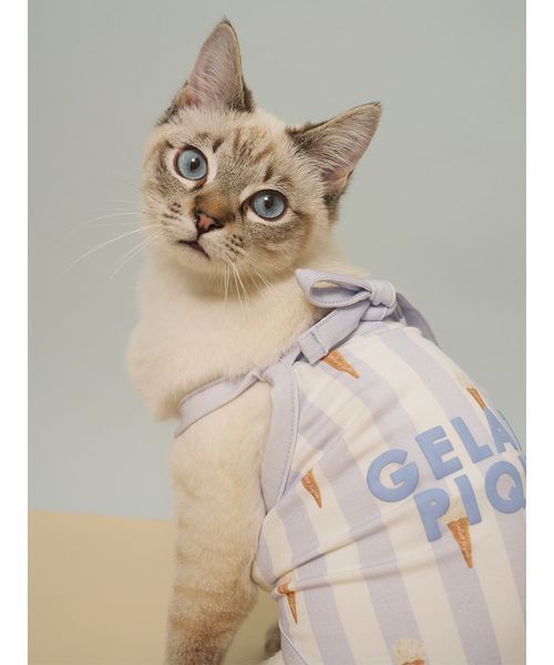 gelato pique（ジェラートピケ）の「【CAT&DOG】【接触冷感】 ストライプ柄Coolingプルオーバー（ペットウェア・レディース・ブルー/グリーン/ピンク/イエロー・S/M/L）」の12枚目の写真