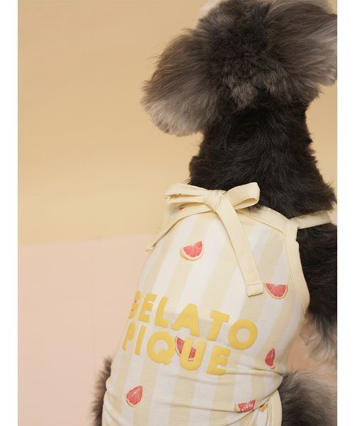 gelato pique（ジェラートピケ）の「【CAT&DOG】【接触冷感】 ストライプ柄Coolingプルオーバー（ペットウェア・レディース・ブルー/グリーン/ピンク/イエロー・S/M/L）」の14枚目の写真