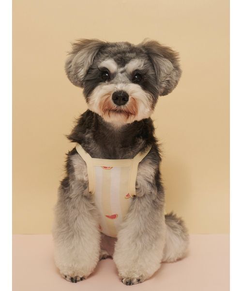 gelato pique（ジェラートピケ）の「【CAT&DOG】【接触冷感】 ストライプ柄Coolingプルオーバー（ペットウェア・レディース・ブルー/グリーン/ピンク/イエロー・S/M/L）」の15枚目の写真