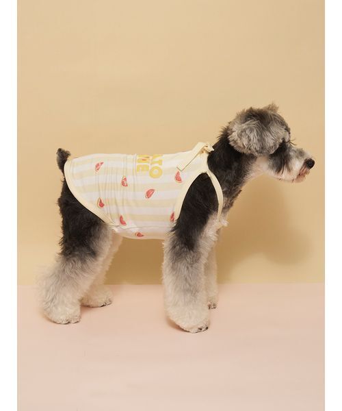 gelato pique（ジェラートピケ）の「【CAT&DOG】【接触冷感】 ストライプ柄Coolingプルオーバー（ペットウェア・レディース・ブルー/グリーン/ピンク/イエロー・S/M/L）」の16枚目の写真