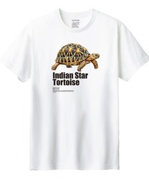 Moftique(モフティック) 半袖Tシャツ インドホシガメ 亀 爬虫類 ペット アニマル プリント Tシャツ 半袖 トップス カットソー メンズ レディース ユニセックス 夏