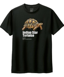 Moftique(モフティック) 半袖Tシャツ インドホシガメ 亀 爬虫類 ペット アニマル プリント Tシャツ 半袖 トップス カットソー メンズ レディース ユニセックス 夏
