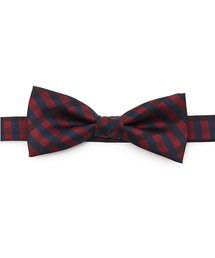 ADPOSION�i�A�h�|�[�V�����j�́u�y���{���z�`�F�b�N�����l�N�^�C�i���l�N�^�C�j�v