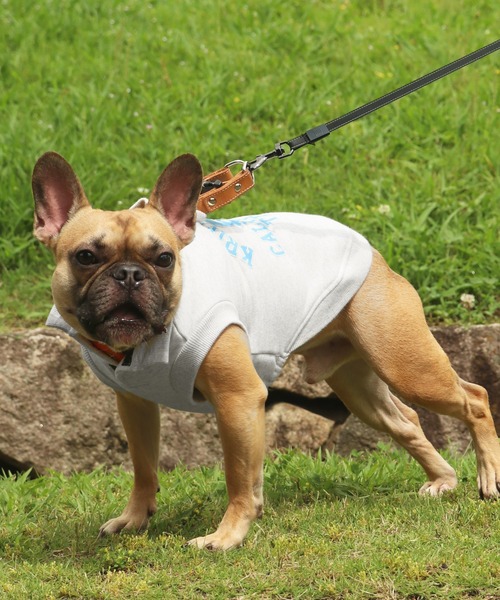 KRIFF MAYER（クリフメイヤー）の「【犬服・ドッグウェア】ロゴスウェットクルー（ペットウェア・レディース・オートミール/マスタード/グリーン/カラフル/ブラック/グレー・SMALL/MEDIUM/LARGE/X-LARGE）」の3枚目の写真