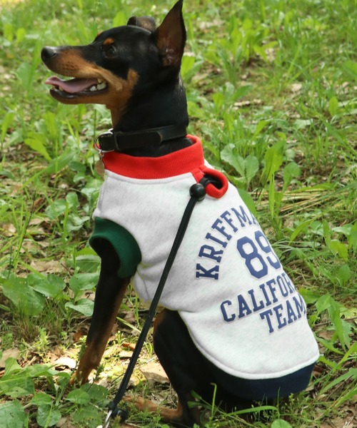 KRIFF MAYER（クリフメイヤー）の「【犬服・ドッグウェア】ロゴスウェットクルー（ペットウェア・レディース・オートミール/マスタード/グリーン/カラフル/ブラック/グレー・SMALL/MEDIUM/LARGE/X-LARGE）」の6枚目の写真