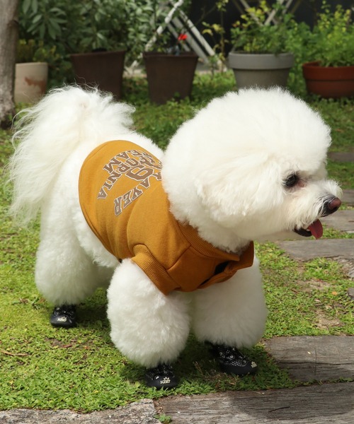 KRIFF MAYER（クリフメイヤー）の「【犬服・ドッグウェア】ロゴスウェットクルー（ペットウェア・レディース・オートミール/マスタード/グリーン/カラフル/ブラック/グレー・SMALL/MEDIUM/LARGE/X-LARGE）」の5枚目の写真