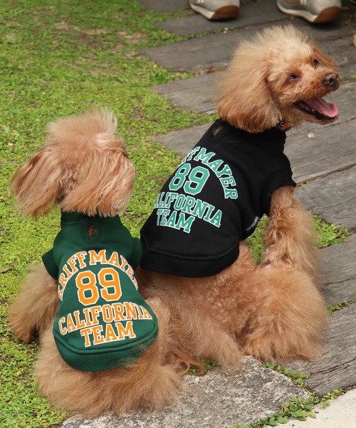 KRIFF MAYER（クリフメイヤー）の「【犬服・ドッグウェア】ロゴスウェットクルー（ペットウェア・レディース・オートミール/マスタード/グリーン/カラフル/ブラック/グレー・SMALL/MEDIUM/LARGE/X-LARGE）」の11枚目の写真