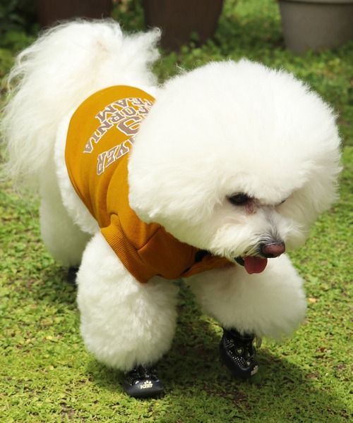 KRIFF MAYER（クリフメイヤー）の「【犬服・ドッグウェア】ロゴスウェットクルー（ペットウェア・レディース・オートミール/マスタード/グリーン/カラフル/ブラック/グレー・SMALL/MEDIUM/LARGE/X-LARGE）」の13枚目の写真