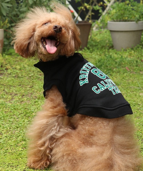 KRIFF MAYER（クリフメイヤー）の「【犬服・ドッグウェア】ロゴスウェットクルー（ペットウェア・レディース・オートミール/マスタード/グリーン/カラフル/ブラック/グレー・SMALL/MEDIUM/LARGE/X-LARGE）」の14枚目の写真