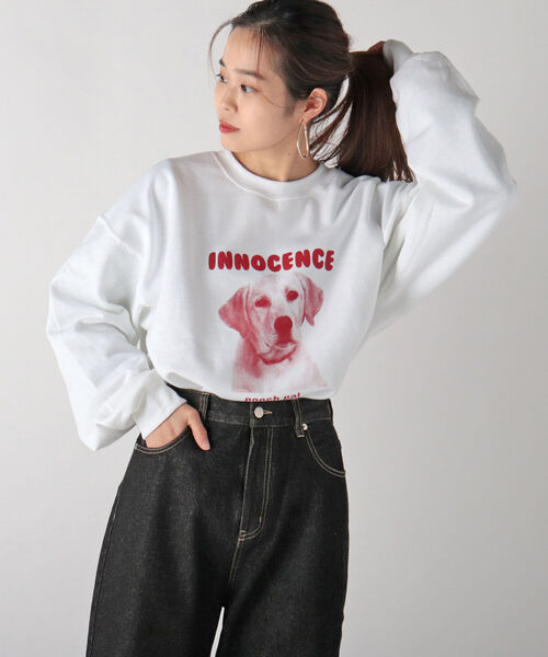 GLOSTER(グロスター)の「【GLOSTER/グロスター】DOG&CAT カラー裏起毛スウェット(スウェット・メンズ・ホワイト/ベージュ/サックスブルー・MEDIUM/LARGE)」の1枚目の写真