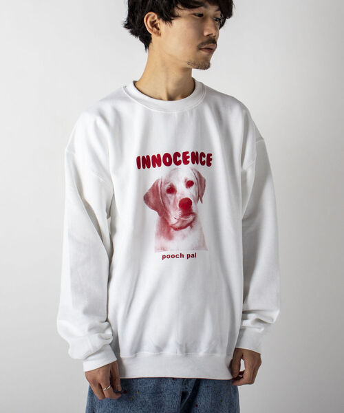 GLOSTER(グロスター)の「【GLOSTER/グロスター】DOG&CAT カラー裏起毛スウェット(スウェット・メンズ・ホワイト/ベージュ/サックスブルー・MEDIUM/LARGE)」の8枚目の写真