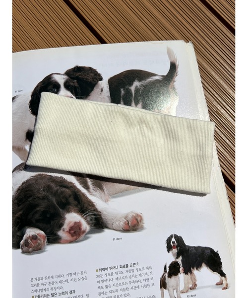 WC(ダブル シー)の「無地リブヘアバンド(ヘアバンド・レディース・グレー/ブラック/ホワイト・FREE)」の1枚目の写真