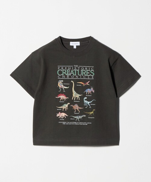 green label relaxing（グリーンレーベルリラクシング）の「ダイナソー Tシャツ / キッズ  100cm-130cm（Tシャツ/カットソー・キッズ・ブラウン系/ライトブルー/ダークグレー・130cm/100cm/120cm/110cm）」の2枚目の写真