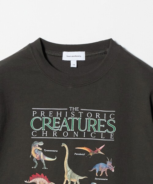green label relaxing（グリーンレーベルリラクシング）の「ダイナソー Tシャツ / キッズ  100cm-130cm（Tシャツ/カットソー・キッズ・ブラウン系/ライトブルー/ダークグレー・130cm/100cm/120cm/110cm）」の6枚目の写真