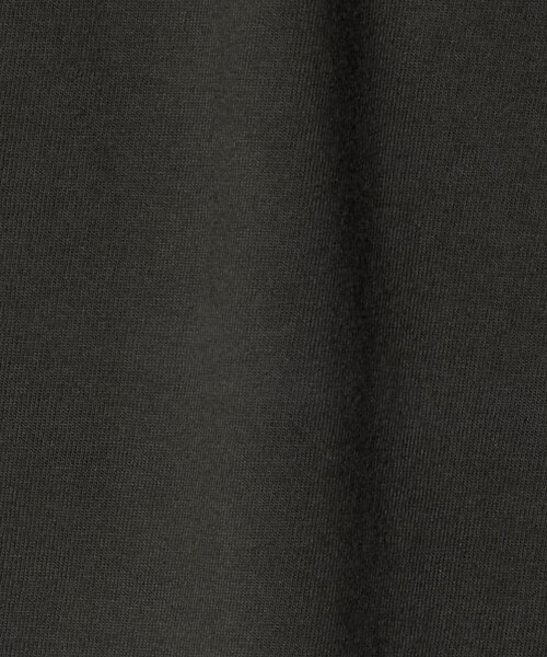 green label relaxing（グリーンレーベルリラクシング）の「ダイナソー Tシャツ / キッズ  100cm-130cm（Tシャツ/カットソー・キッズ・ブラウン系/ライトブルー/ダークグレー・130cm/100cm/120cm/110cm）」の9枚目の写真