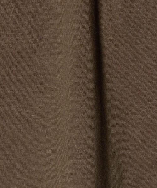 green label relaxing（グリーンレーベルリラクシング）の「ダイナソー Tシャツ / キッズ  100cm-130cm（Tシャツ/カットソー・キッズ・ブラウン系/ライトブルー/ダークグレー・130cm/100cm/120cm/110cm）」の12枚目の写真
