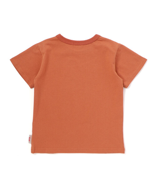 WASK(ワスク)の「【接触冷感】WASKマーク ブラッシュタッチ プリント Tシャツ (100~160cm)(Tシャツ/カットソー・キッズ・グリーン/オレンジ・160cm/140cm/150cm)」の15枚目の写真