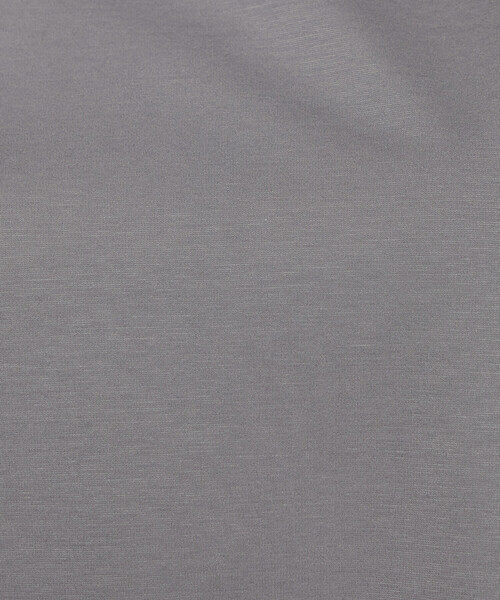 Gabardine K.T(ギャバジンケーティー)の「〔 +サイズ 〕 80ポンチ ゆったりプルオーバー(Tシャツ/カットソー・レディース・ブラック/ライトグレー・15号)」の4枚目の写真