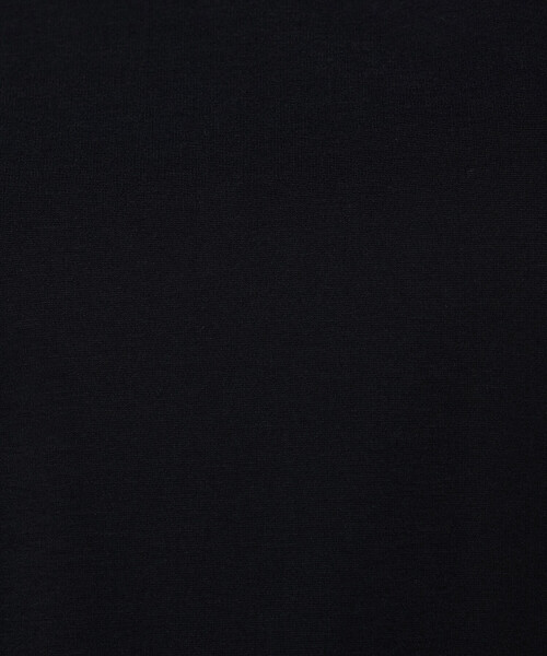 Gabardine K.T(ギャバジンケーティー)の「〔 +サイズ 〕 80ポンチ ゆったりプルオーバー(Tシャツ/カットソー・レディース・ブラック/ライトグレー・15号)」の3枚目の写真
