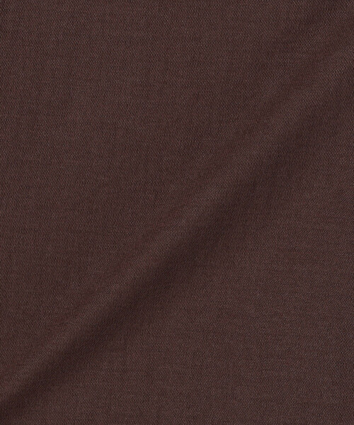 COMME CA Wardrobe(コムサワードローブ)の「ナチュラルスムースライト Vネックワンピース(ワンピース・レディース・ブラウン/ネイビー・FREE)」の22枚目の写真