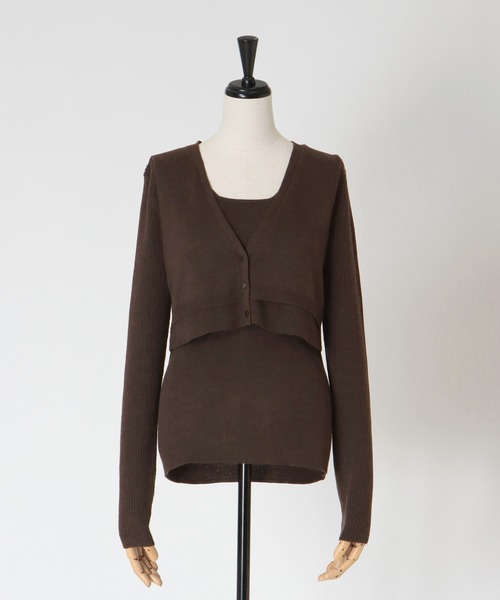 DRESSLAVE(ドレスレイブ)の「layered twin set(レイヤードツインセット)(ニット/セーター・レディース・ホワイト/チャコールグレー/ブラウン・38)」の22枚目の写真
