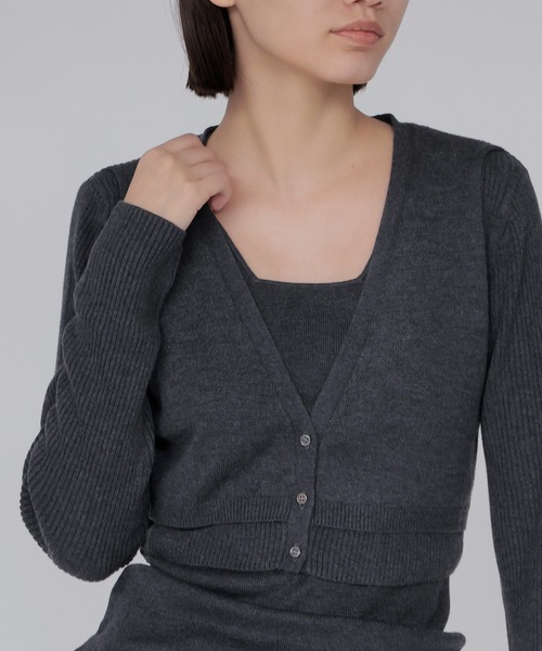 DRESSLAVE(ドレスレイブ)の「layered twin set(レイヤードツインセット)(ニット/セーター・レディース・ホワイト/チャコールグレー/ブラウン・38)」の16枚目の写真