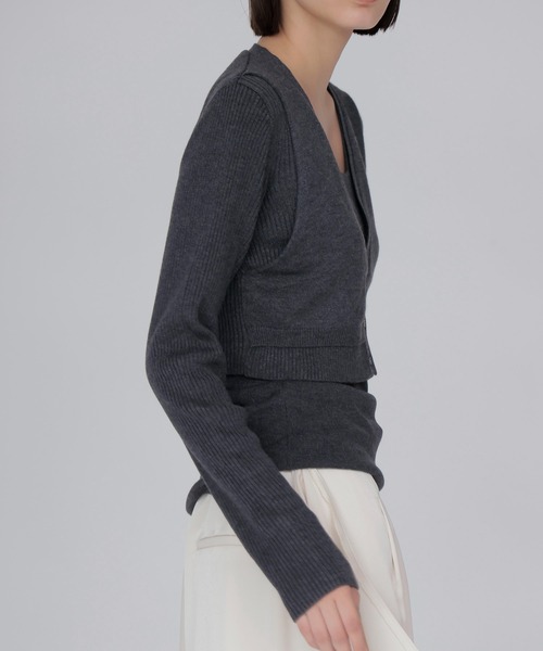 DRESSLAVE(ドレスレイブ)の「layered twin set(レイヤードツインセット)(ニット/セーター・レディース・ホワイト/チャコールグレー/ブラウン・38)」の14枚目の写真