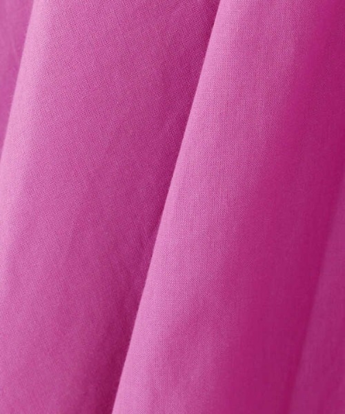 N.(N. Natural Beauty Basic)(エヌエヌナチュラルビューティーベーシック)の「バンドカラーブラウジングワンピース(ワンピース・レディース・グレー/ピンク/ブルー/ブルー系その他・SMALL/MEDIUM)」の17枚目の写真