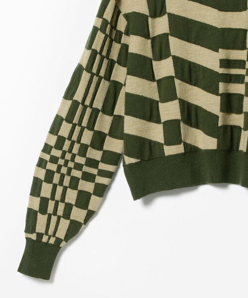 Ray BEAMS（レイビームス）の「Ray BEAMS / ジオメトリック ハイネック ニット（ニット/セーター・レディース・ブラック/グリーン・ONE SIZE）」の17枚目の写真