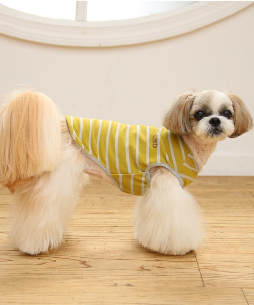 犬と生活（イヌトセイカツ）の「犬と生活/いぬとせいかつ/ウォーム