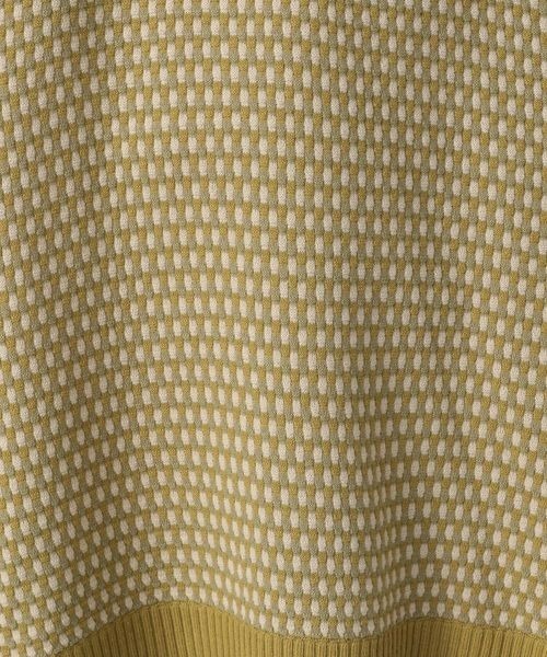 LOWRYS FARM（ローリーズファーム）の「深Ｖネックベスト　275107（ベスト・レディース・オフホワイト/ブラック/イエロー・FREE）」の19枚目の写真