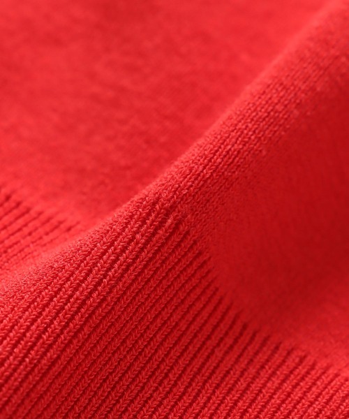 DRESSLAVE（ドレスレイブ）の「basic crew neck knit pull(ベーシッククルーネックニットプルオーバー)（ニット/セーター・レディース・チャコールグレー/レッド・38）」の13枚目の写真