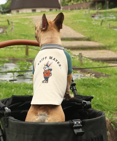 KRIFF MAYER（クリフメイヤー）の「もちのびT(ラビット)（ペットウェア・レディース・ナチュラル/カーキ/ブラック/カラフル/ブラウン/グレー・MEDIUM/SMALL/X-LARGE/LARGE）」の6枚目の写真