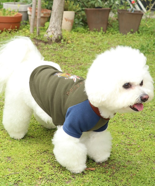 KRIFF MAYER（クリフメイヤー）の「もちのびT(ラビット)（ペットウェア・レディース・ナチュラル/カーキ/ブラック/カラフル/ブラウン/グレー・MEDIUM/SMALL/X-LARGE/LARGE）」の5枚目の写真