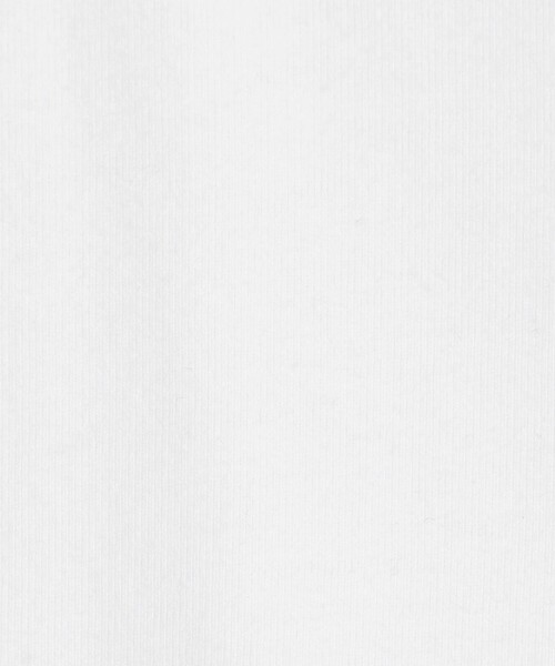 JAMES PERSE（ジェームスパース）の「コットンポリエステル クロップドTシャツ WMTP3926（Tシャツ/カットソー・レディース・ホワイト/ブラック・0）」の11枚目の写真