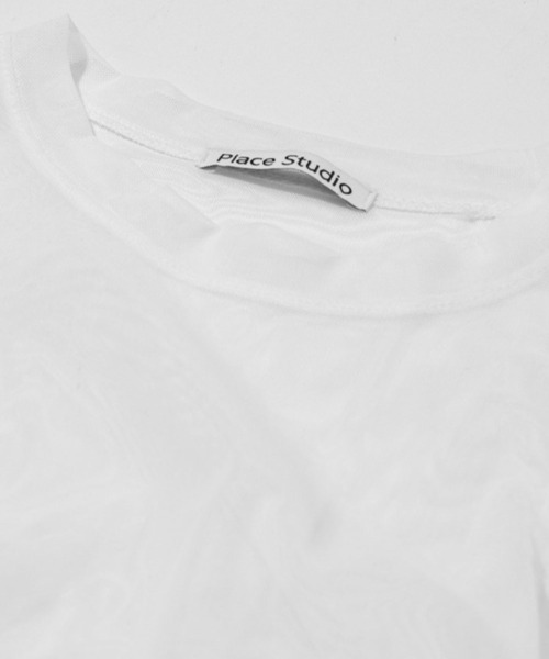 tシャツ PLACE STUDIO／シースルーフリルトップ レディース PLACE STUDIO（プレイススタジオ）の「PLACE STUDIO／シースルー