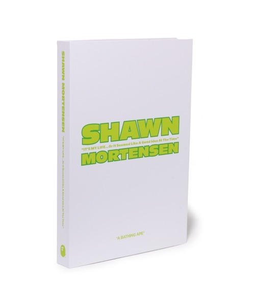 BAPE X SHAWN MORTENSEN BIGGIE TEE（Tシャツ/カットソー）｜A BATHING