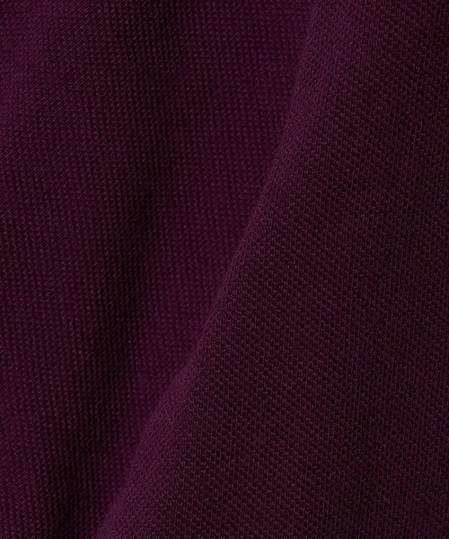 SCYE BASICS(サイベーシックス)の「<SCYE BASICS>ピケ ポロシャツ(ポロシャツ・メンズ・ワイン/ホワイト/ダークグレー・38/40)」の13枚目の写真