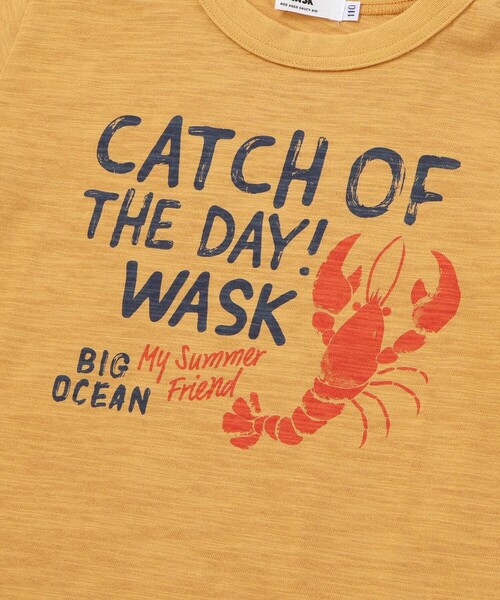 WASK(ワスク)の「ロブスタープリント Tシャツ(90~160cm)(Tシャツ/カットソー・キッズ・オフホワイト・140cm/150cm/160cm)」の2枚目の写真