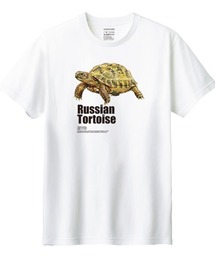 Moftique(モフティック) 半袖Tシャツ ロシアリクガメ 亀 爬虫類 ペット アニマル プリント Tシャツ 半袖 トップス カットソー レディース 夏