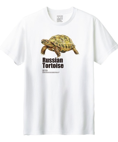Moftique(モフティック)の「Moftique(モフティック) 半袖Tシャツ ロシアリクガメ 亀 爬虫類 ペット アニマル プリント Tシャツ 半袖 トップス カットソー レディース 夏(Tシャツ/カットソー・レディース・ブラック/ホワイト・L/M)」の1枚目の写真