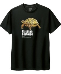 Moftique(モフティック) 半袖Tシャツ ロシアリクガメ 亀 爬虫類 ペット アニマル プリント Tシャツ 半袖 トップス カットソー レディース 夏
