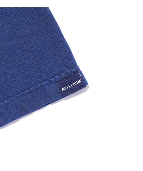 APPLEBUM（アップルバム）の「"VARIEGATOR" T-shirt（Tシャツ/カットソー・メンズ・スモークピンク/ブラウン/ブルー/ベージュ・SMALL/MEDIUM/X-LARGE/LARGE）」の17枚目の写真