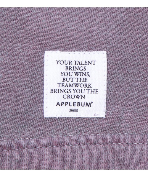 APPLEBUM（アップルバム）の「"VARIEGATOR" T-shirt（Tシャツ/カットソー・メンズ・スモークピンク/ブラウン/ブルー/ベージュ・SMALL/MEDIUM/X-LARGE/LARGE）」の9枚目の写真