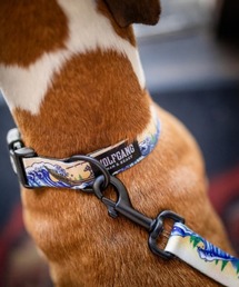 WOLFGANG MAN＆BEAST（ウルフギャングマンアンドビースト）の「WOLFGANG/ウルフギャング 犬用 首輪 MountainWave Collar M WC-002-69（リード/ハーネス/首輪）」